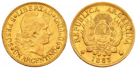 Argentina. 5 pesos (argentino). 1883. (Km-31). (Fr-14). Au. 8,05 g. Minor hairlines on obverse. Choice VF. Est...420,00. 

Spanish description: Arge...
