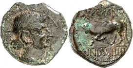 GERMANIEN. 
TREVERER. 
Germanus Indutilli L(ibertus) um 10 v.Chr. AE-Quadrans 17mm (5 v. - 14 n.Chr.) 2,88g. Unbärtiger Kopf (Augustus) mit Diadem n...