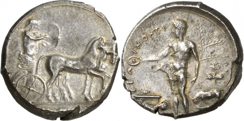 SIZILIEN. 
SELINUS. 
Tetradrachmon (um 450 v.Chr.) 17,27g. Apollon fährt in Bi...