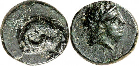 TROAS. 
STÄDTE. 
KEBREN (bei Akpinarköy). AE-Chalkus 9/10mm (386/300 v.Chr.) 0,83g. Widderkopf n.r.; unten Monogramm für KE&nbsp;/ Apollonkopf n.r. ...