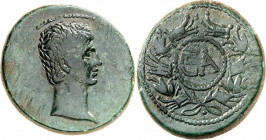 RÖMISCHES KAISERREICH. 
AUGUSTUS 27 v. Chr. -14 n. Chr. AE-Dupondius (um 27 v.Chr.) 11,67g, Ephesus in Asia. Kopf n.r. [IMP CAISAR] / C A in corona r...
