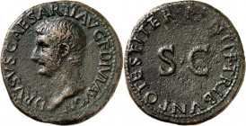 RÖMISCHES KAISERREICH. 
Drusus iunior, Sohn des Tiberius +23. AE-As (23) 10,28g. Kopf n.l. DRVSVS CAESAR. TI AVG F DIVI AVG N / PONTIF. TRIBVN. POTES...