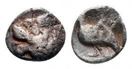 Tetartemorion AR
Caria. Mylasa circa 420-390 BC
4 mm, 0,14 g