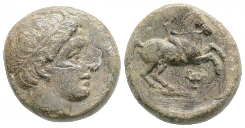 Bronze AE
Macedon, Philip II (c. 359-336 BC), Diademed of Apollo right / youth ...