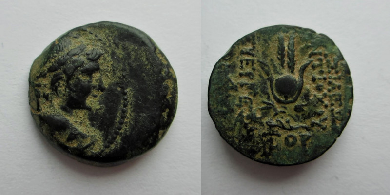 Bronze Æ
Seleukid Kingdom, Antioch