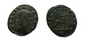 Antoninianus Æ
Gallienus (253-268)