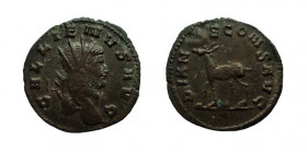 Antoninianus Æ
Gallienus (253-268)