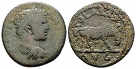 Bronze Æ
Troas, Alexandreia, Caracalla (198-217)
23 mm, 6,20 g