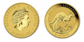 25 Dollars AV
Australia, Kangooru, ¼ OZ, Gold 999/1000
7,80 g