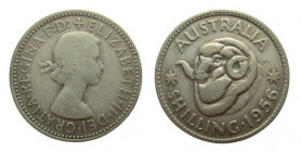 1 Schilling AR
Australia, Elisabeth II, 1956
22 mm, 5,60 g