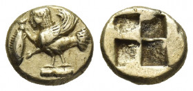 MYSIA, Kyzikos. (Circa 550-450 BC). EL Hekte.
Obv: Harpy standing left, holding in right hand a tunny by its tail, on dotted ground line.
Rev: Quadr...