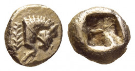 IONIA. Uncertain mint. (circa 650-600 BC). EL Hekte.
Obv: Forepart of bridled and mane horse right, legs forward in running; behind branch.
Rev: Squ...