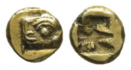 IONIA, Phokaia. (Circa 625/0-522 BC). EL 1/24 Stater.
Obv: Head of seal rigth.
Rev: Incuse square punch.
SNG Turkey 10.1, 257; Bodenstendt, Phokaia...