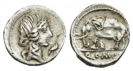 Q. CAECİLİUS METELLUS PIUS. AR, Denarius (81 BC). Rome.
Obv: Diademed head of Pietas to right; before, stork.
Rev: Q C M P I.
Elephant walking left...