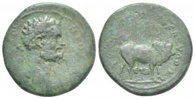 CAPPADOCIA. Tyana. SeptimiusSeverus (193-211 AD). AE.
Obv: Laureateheadof SeptimiusSeverus, right.
Rev: Brahma bullstandingright; datebelow.
SNG Co...