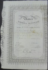 Banco Agrícola Peninsular. Acción de 2.000 reales de vellón. Madrid. 1 de enero de 1846. Sello en seco. Con cinco firmas. Con cupones del 7 al 24 (184...