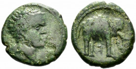 Etruria, Uncertain inland mint, c. 300-250 BC. Æ (19mm, 5.12g). African head r. R/ Elephant standing r. HNItaly 69; Sambon 145; BMC 61. Green patina, ...