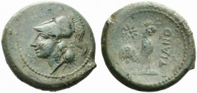 Northern Campania, Teanum Sidicinum, c. 265-240 BC. Æ (21.5mm, 6.98g). Helmeted head of Athena l. R/ Cock standing r.; star above. HNItaly 453; SNG AN...