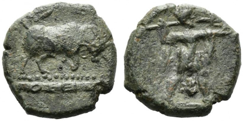 Northern Lucania, Poseidonia, c. 350-290 BC. Æ (15.5mm, 4.17g). Poseidon wieldin...