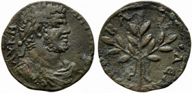 Caracalla (197-217). Caria, Alabanda. Æ (25mm, 5.04g). Laureate, draped and cuirassed bust r. R/ Filleted laurel branch with three sprigs. SNG Copenha...