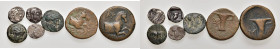 Lotto di sette monete greche di piccolo e piccolissimo modulo, da classificare