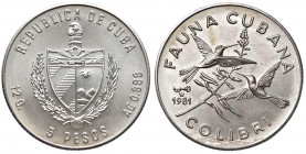 CUBA 5 Pesos 1981 - KM 75 AG (g 12,01)