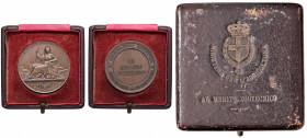 Medaglia al Merito zootecnico - Opus: Pieroni AE (g 26,08 - 40 mm) In astuccio d’epoca, un bellissimo insieme