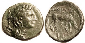 PHENEOS , Æ18, 300-240 BC, Artemis Heurippa bust r/horse grazing r, S2734; VF/F+, centered, dark green patina, obv awfully nice, rev a bit rough. RARE...