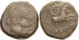 SPAIN , NERONKEN (Narbona), Æ26, 1st cent BC, Female head r, bull leaping r, wreath above; F-VF, centered on sl irregular flan, medium brown, modest s...