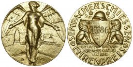Schweiz / Switzerland / Suisse Luzern 1920 Sempach Ehrenpreis Medaille Bronce vergoldet 42mm Ri: 897a Originalbox FDC