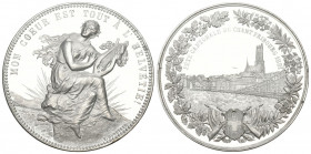 Fribourg 1881 Tir Federal in WM 47mm Originalbox Ri: 406c unz