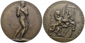 Zürich 1939 Schützengesellschaft Bronce Originalbox 60mm Ri: 1878b FDC