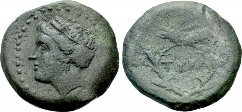 SKYTHIA. Tyra. Ae (Circa 300-290 BC). 

Obv: Head of Demeter left, wearing gra...
