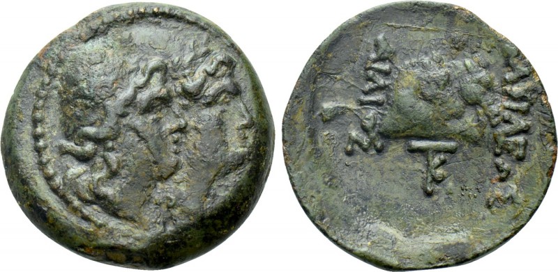 KINGS OF SKYTHIA. Ailis (Circa 188-180 BC). Ae. 

Obv: Jugate heads of the Dio...
