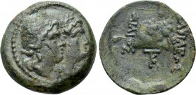 KINGS OF SKYTHIA. Ailis (Circa 188-180 BC). Ae.