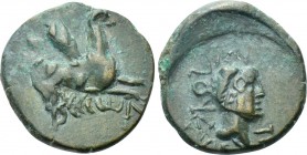 THRACE. Abdera. Ae (Circa 311-280 BC).