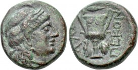 THRACE. Alopekonnesos. Ae (Circa 3rd-2nd centuries BC).