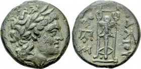 KINGS OF THRACE (Seleukid). Adaios (Strategos, circa 255-245 BC). Ae. Kypsela.
