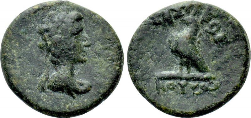 KINGS OF THRACE (Odrysian [Astaian]). Kotys IV (57-50/48 BC). Ae. Odessos or Biz...