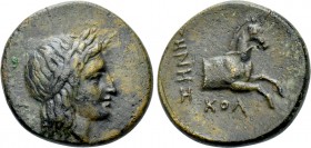 IONIA. Kolophon. Ae Dicahlkon (Circa 330-285 BC). Zenes, magistrate.