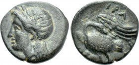 IONIA. Leukai. Ae (Circa 350-300 BC). Hira-, magistrate.