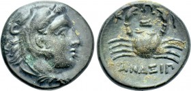 CARIA. Kos. Ae (Circa 250-210 BC). Anaxip-, magistrate.