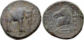 SELEUKID KINGDOM. Seleukos I Nikator (312-281 BC). Ae. Apameia on the Orontes.