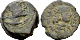 PTOLEMAIC KINGS OF EGYPT. Ptolemy IX Soter II (Lathyros) (115-104/1 BC). Ae Hemiobol. Kyrene.