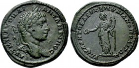 MOESIA INFERIOR. Marcianopolis. Elagabalus (218-222). Ae. Julius Antonius Seleucus, legatus consularis.