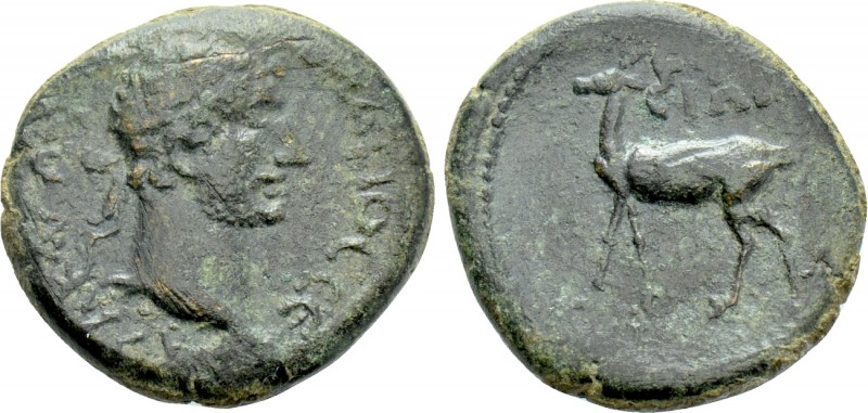 IONIA. Ephesus. Hadrian (117-138). Ae. 

Obv: ΑΥ ΚΑΙ ΤΡΑ ΑΔΡΙΑΝΟС CЄ. 
Laurea...