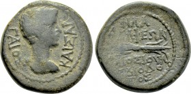 LYDIA. Philadelphia. Caligula (37-41). Ae. Gaios Ioulios Diodotos, magistrate.