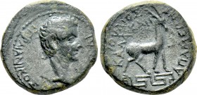 PHRYGIA. Apamea. Germanicus (Caesar, 15 BC-19 AD). Ae. Struck under Tiberius. Gaios Ioulios Kallikles, magistrate.
