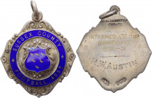 Gran Bretagna - Sussex - "Intermediate Cup Runners 1930-1931" - 34 mm; 12,7 gr - Ag smaltato

FDC

SPEDIZIONE SOLO IN ITALIA - SHIPPING ONLY IN IT...