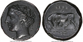 SICILY. Syracuse. Hieron II (ca. 275-215 BC). AE litra (19mm, 5h). NGC XF. Ca. 275-269 BC. Head of Persephone left, wearing grain wreath; cornucopia t...